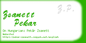 zsanett pekar business card