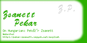 zsanett pekar business card